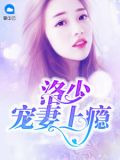 洛少宠妻上瘾